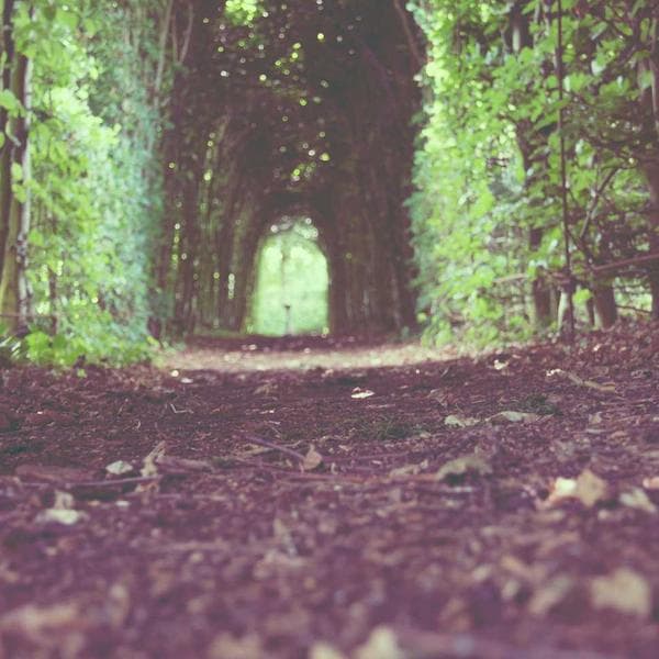 Advanced Retinol Night Cream